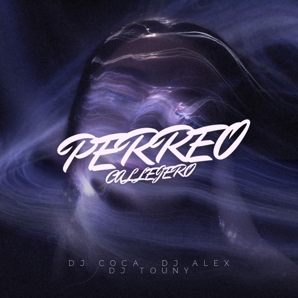 Perreo Callejero (feat. Dj Coca & Dj Touny)