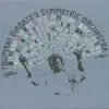 Toumani Diabaté's Symmetric Orchestra - Boulevard de l'Indépendance