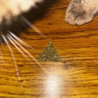 we owe our lives! - yayu