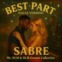 Best Part (Salsa) (feat. SABRE & DLM.Groove_Collective) - Single - Mr.DLM