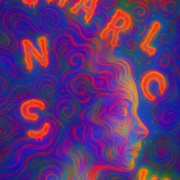 Just a Simulation - Single - Charles Now