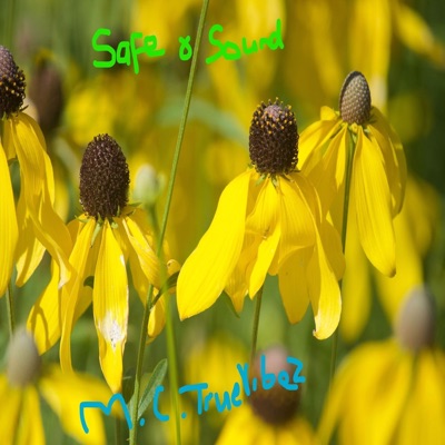 Safe & Sound - Single