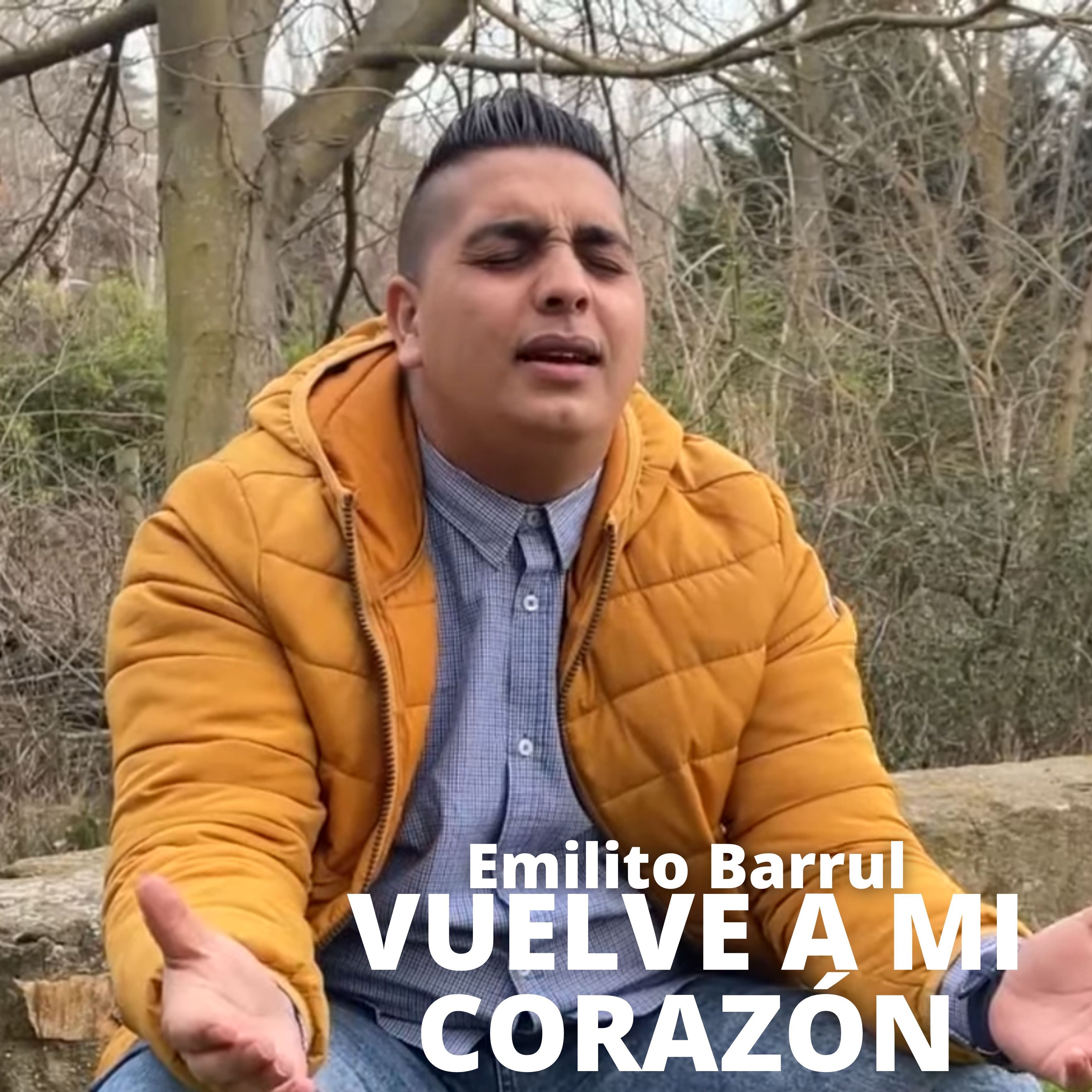 Vuelve a Mi Corazón - Single