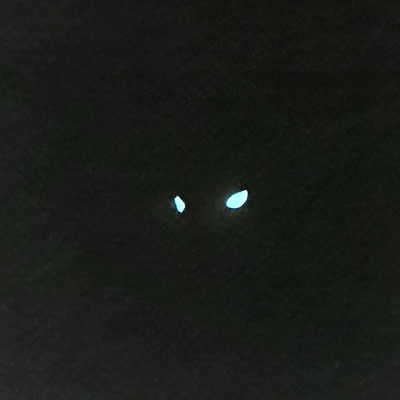 Blow (Second Demo) - Single