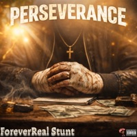 Perseverance - ForeverReal Stunt