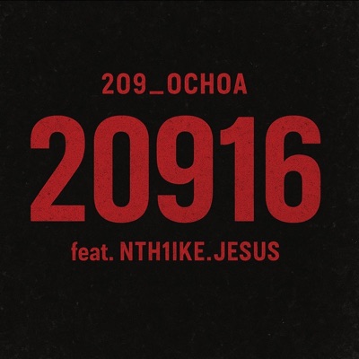 20916 (feat. Nth1ike.jesus) - Single