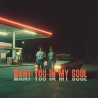 Want You In My Soul (Radio Edit) - Single - Deep Infect, Stevens & Glitter Cat