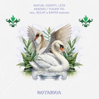 Akkosh (Bulat Remix) - Single - Matur & Veenyy