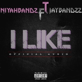 I like (feat. Jaybandzz) NiyahBandz