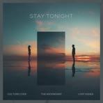 Stay Tonight - Single
