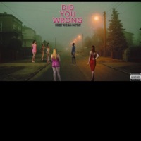 DID You Wrong - Single - Drissy Bo