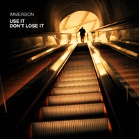 Use It Don't Lose It - Single - Immersion