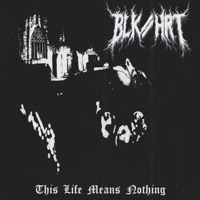 This Life Means Nothing - Single - BLK//HRT