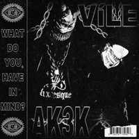 WHAT DO YOU HAVE IN MIND? - Single - Víle & Ak3k