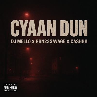 CYAAN DUN (feat. DJMELLO OFFICIAL & CASHH) - Single