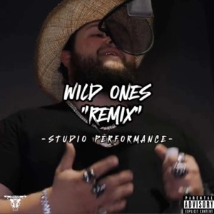 Wild Ones (Remix) - Single