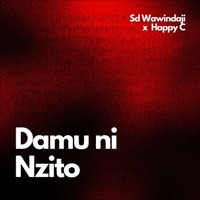 Damu Ni Nzito (feat. Happy C) - Single - Sd Wawindaji