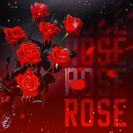 Rose AIRFACEONE