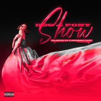 Dog and Pony Shows - Single - Hooks By: DJ & The Crushboys