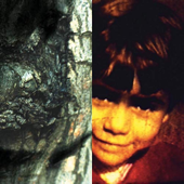 I've Never Been There song art