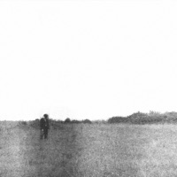 detritus - Single - FATE