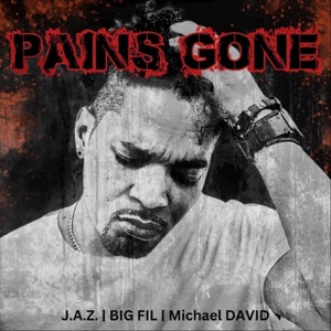 PAINS GONE - Single