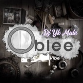Oblee Vibe artwork