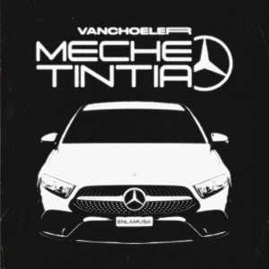 Meche Tintia