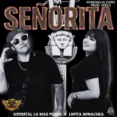 Señorita (feat. Lupita bonachea) - Single
