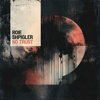 No Trust - Roie Shpigler new Single