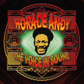 The Voice In Sound