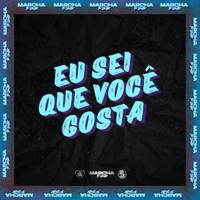 EU SEI QUE VOCÊ GOSTA - Single - DJ Salva, DJ FV & Mc MN