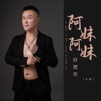 阿妹阿妹好想你 - EP - Dadu