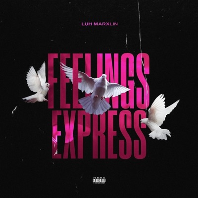 Feelings Express - Single