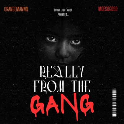 Really From the Gang (feat. MOESOGOSO) - Single