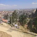 La Vid Verdadera