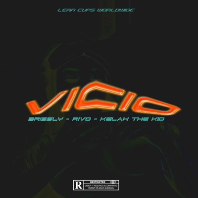 Vicio (feat. Rivo Oficial, Brissly & Kelah The Kid) - Single