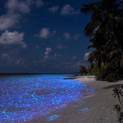 CONFUSO (feat. melakomoenlasuitte) - Single