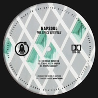 The Space Between - Single - Napsoul