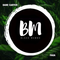 Faga (Re-Up) - Single - Dane Carter