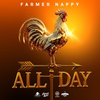 All Day - Single - Farmer Nappy