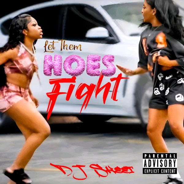 Let Them Hoes Fight (Ghettotech MegaMix) - Single - Album by DJ