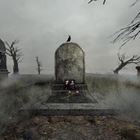 Холс - Single - Dimma Urih