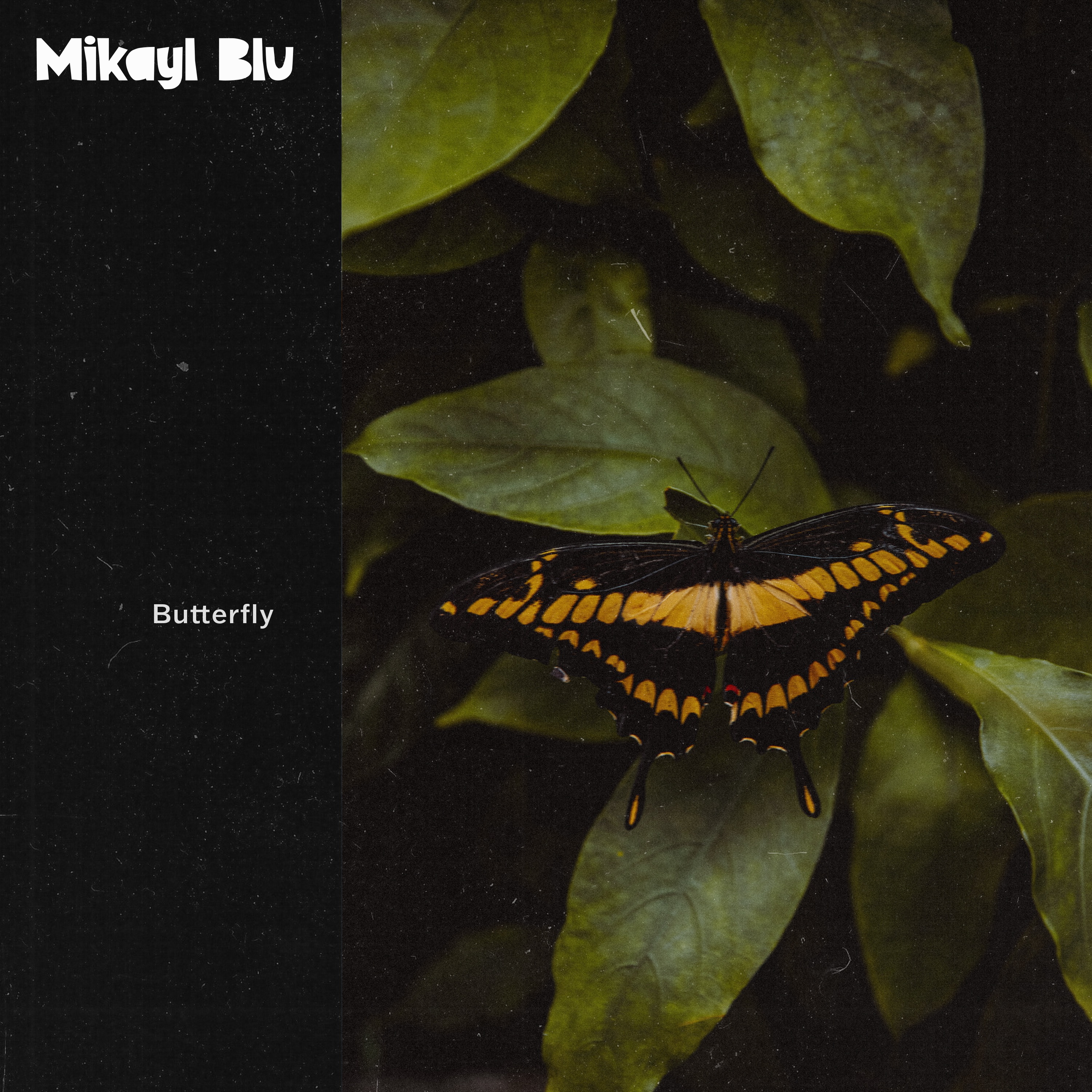 Butterfly - Single