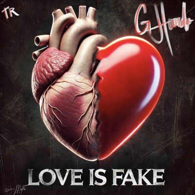 Love is fake - Single