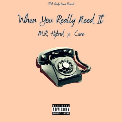 When You Really Need It - Single