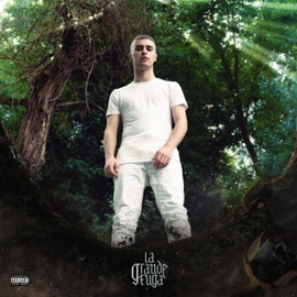 MOON (feat. martiann) Ghed