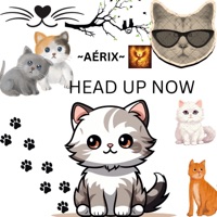 HEAD UP NOW - Single - Aerix