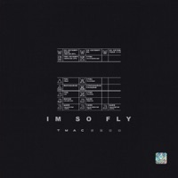 I'm So Fly - Single - Tmac5200