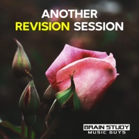 Another Revision Session - Brain Study Music Guys